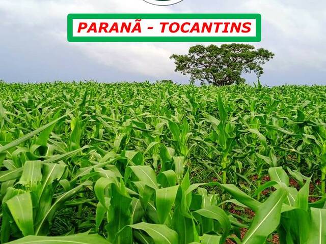 #2442 - Fazenda para Venda em Paranã - TO