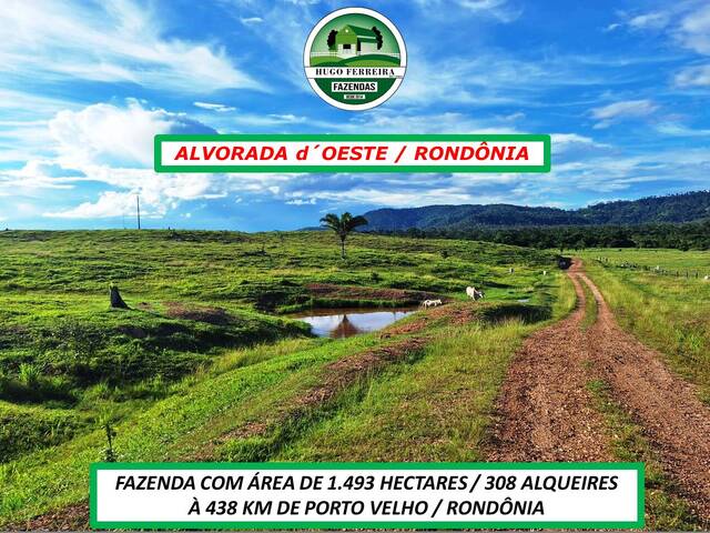 #2477 - Fazenda para Venda em Alvorada d`Oeste - RO