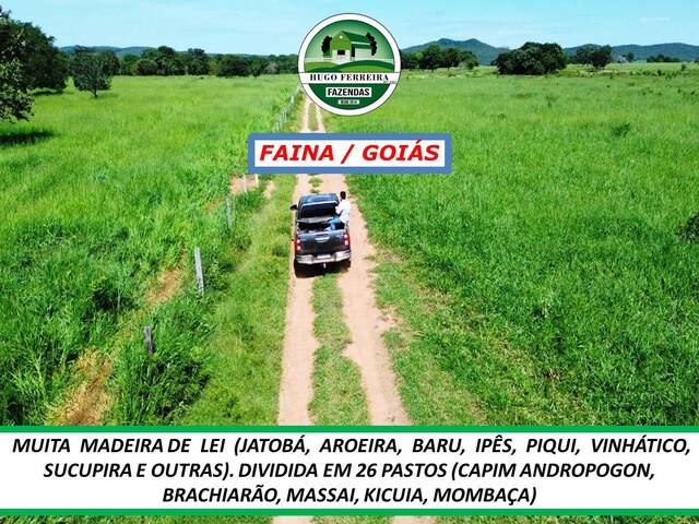 #2482 - Chácara para Venda em Faina - GO - 3