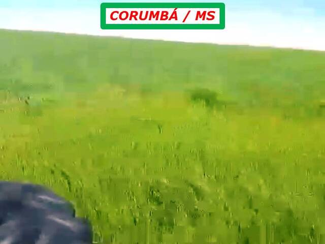  para  em  - 3