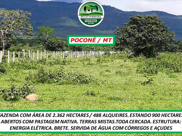 para em - 3