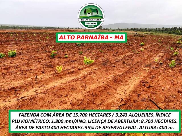 #2561 - Fazenda para Venda em Alto Parnaíba - MA - 3
