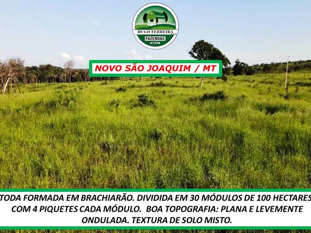 #2575 - Fazenda para Venda em Novo São Joaquim - MT - 3
