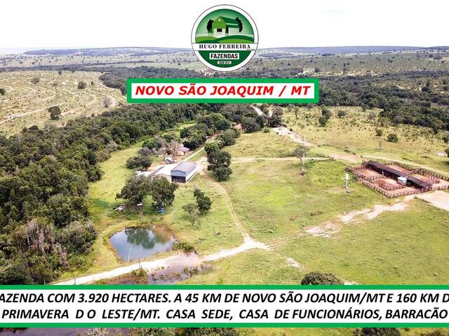 #2575 - Fazenda para Venda em Novo São Joaquim - MT - 2