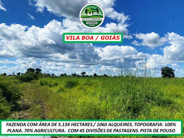 #2588 - Fazenda para Venda em Vila Boa - GO - 2