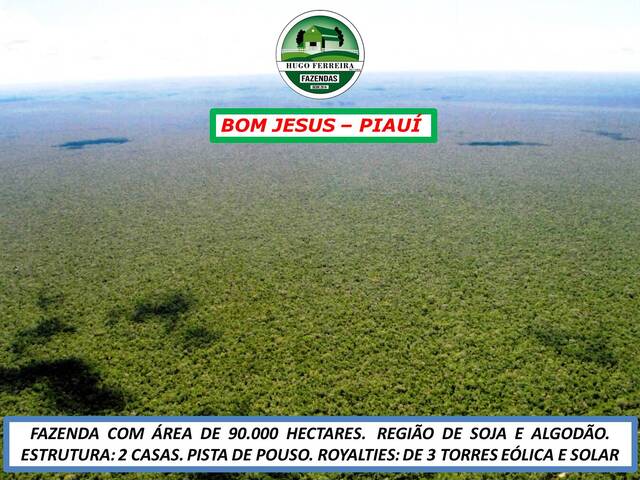 #2606 - Fazenda para Venda em Bom Jesus - PI - 2