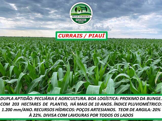  para  em  - 3