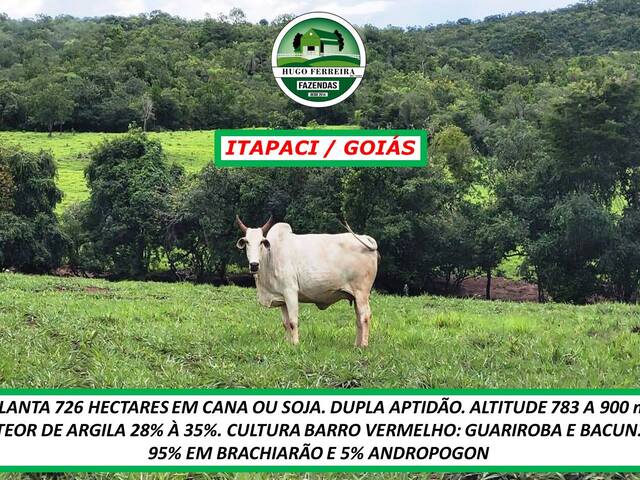 #2717 - Fazenda para Venda em Itapaci - GO