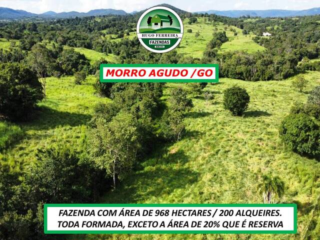 #2790 - Fazenda para Venda em Morro Agudo de Goiás - GO - 2