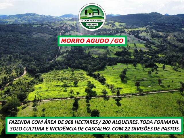#2790 - Fazenda para Venda em Morro Agudo de Goiás - GO - 3