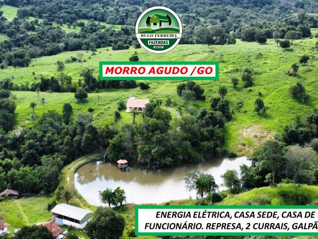 #2790 - Fazenda para Venda em Morro Agudo de Goiás - GO