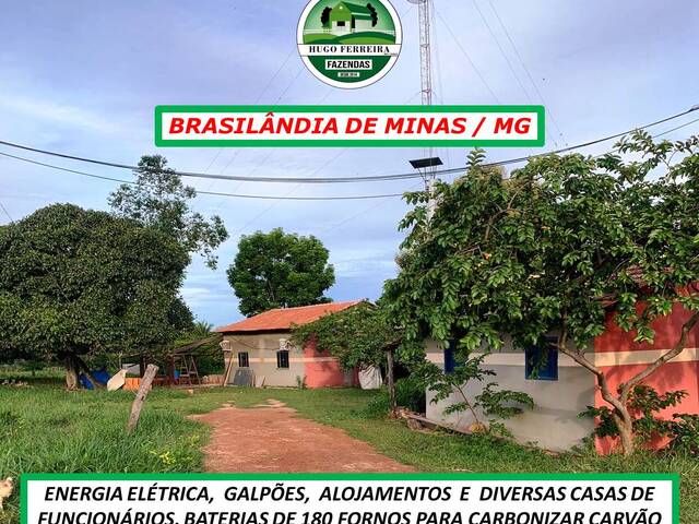 #2840 - Fazenda para Venda em Brasilândia de Minas - MG - 3