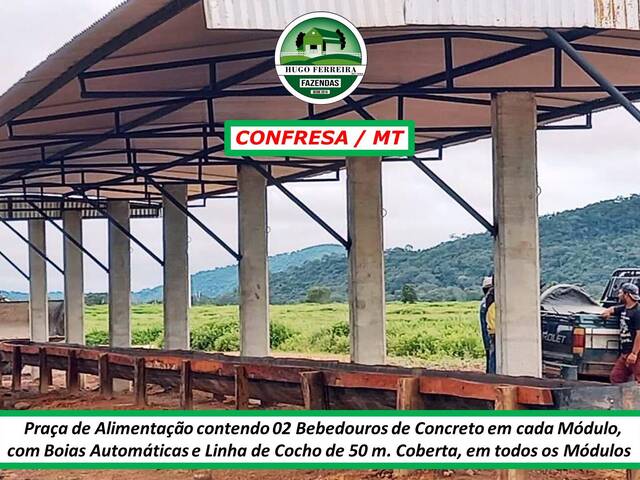 #2870 - Fazenda para Venda em Confresa - MT - 3