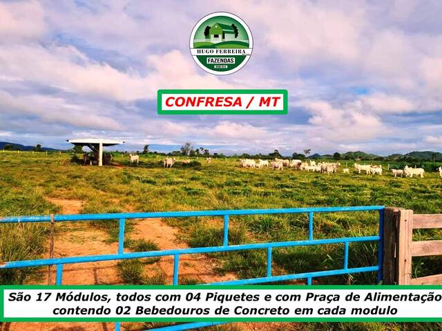 #2870 - Fazenda para Venda em Confresa - MT - 2
