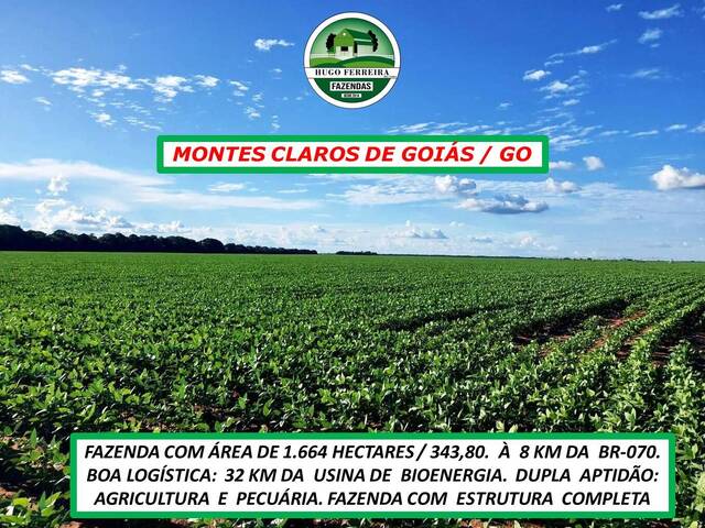 #2900 - Fazenda para Venda em Montes Claros de Goiás - GO - 1