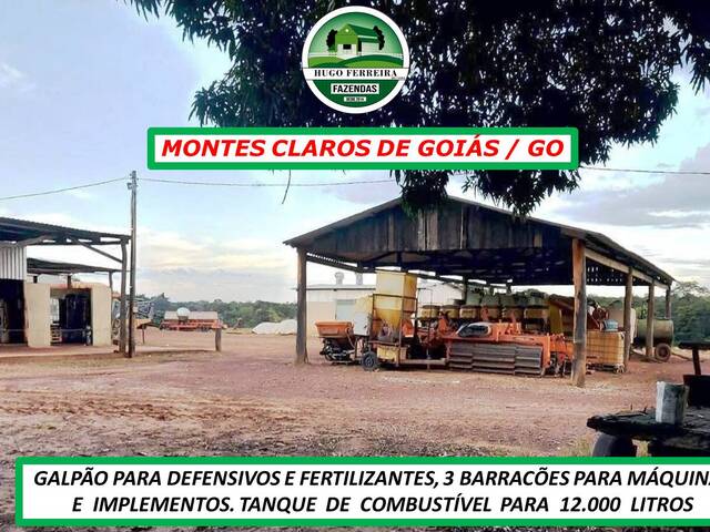 #2900 - Fazenda para Venda em Montes Claros de Goiás - GO - 2