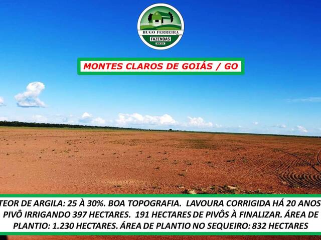 #2900 - Fazenda para Venda em Montes Claros de Goiás - GO - 3
