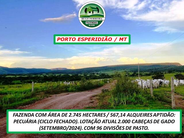 #2929 - Fazenda para Venda em Porto Esperidião - MT