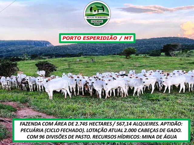 #2929 - Fazenda para Venda em Porto Esperidião - MT