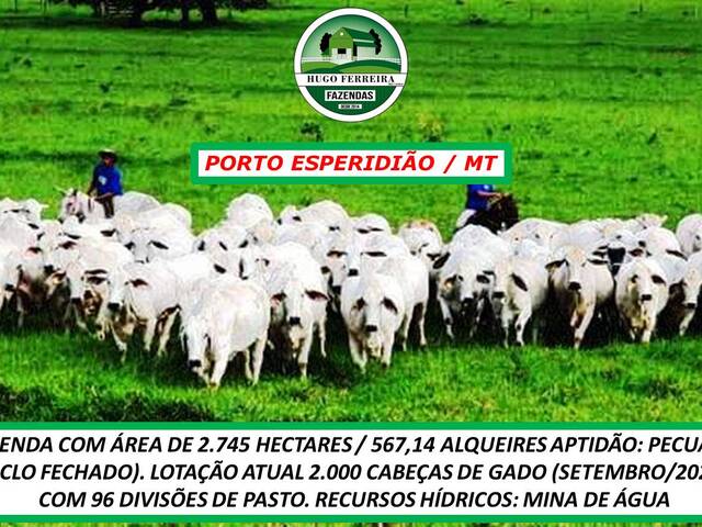 #2929 - Fazenda para Venda em Porto Esperidião - MT
