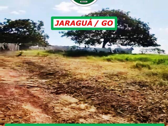 #2960 - Fazenda para Venda em Jaraguá - GO