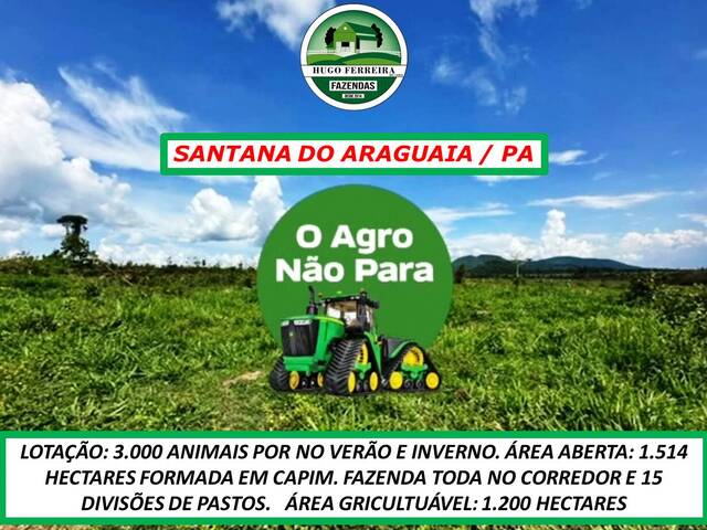 #3030 - Fazenda para Venda em Santana do Araguaia - PA - 3
