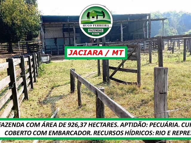  para  em  - 3