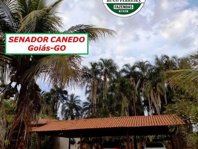 #3090 - Chácara para Venda em Senador Canedo - GO - 2