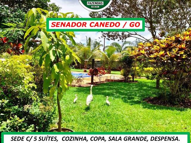 #3090 - Chácara para Venda em Senador Canedo - GO - 3