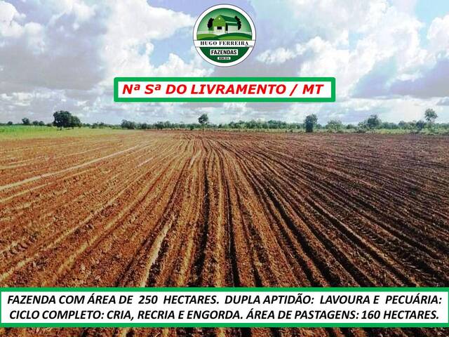 #3100 - Fazenda para Venda em Nossa Senhora do Livramento - MT - 2
