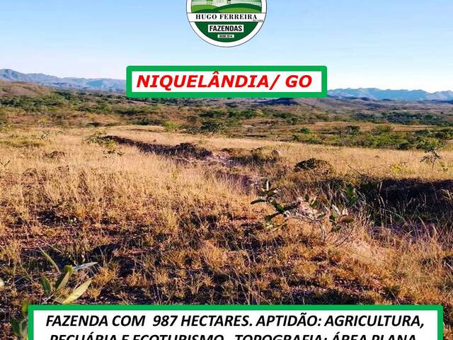 #3131 - Fazenda para Venda em Niquelândia - GO - 2