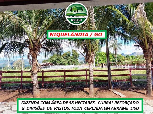 #3140 - Fazenda para Venda em Niquelândia - GO - 2