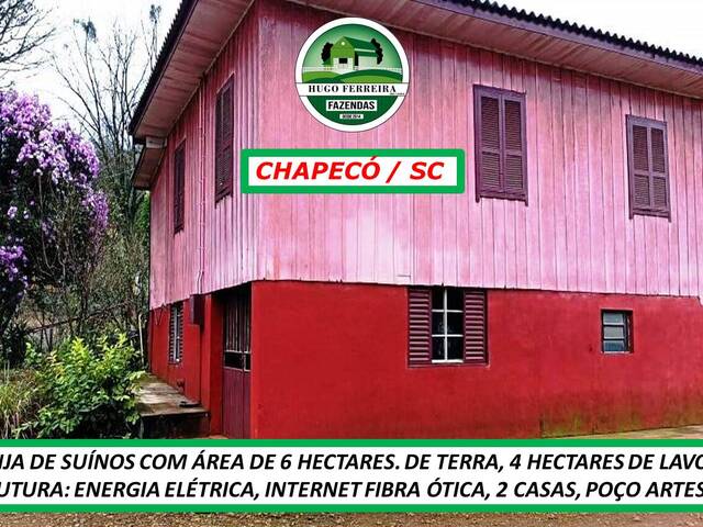 #3151 - Granja para Venda em Chapecó - SC - 2