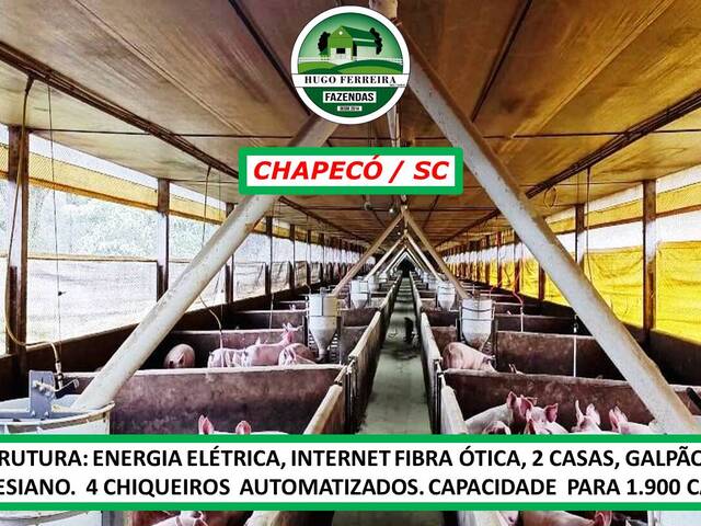 #3151 - Granja para Venda em Chapecó - SC - 3