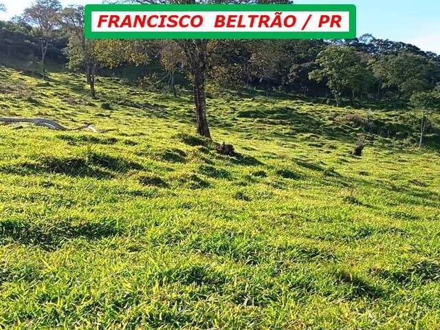 #3160 - Granja para Venda em Francisco Beltrão - PR - 3