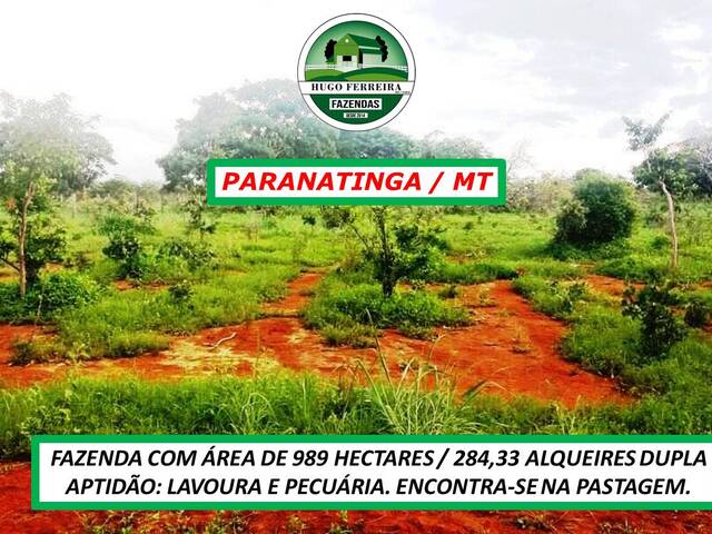  para  em  - 5