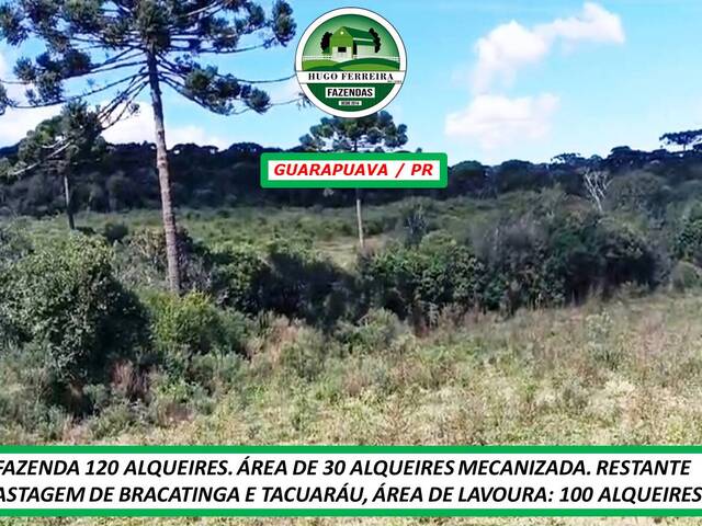 #3222 - Fazenda para Venda em Guarapuava - PR - 2