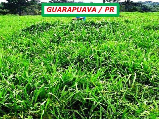 #3222 - Fazenda para Venda em Guarapuava - PR - 3