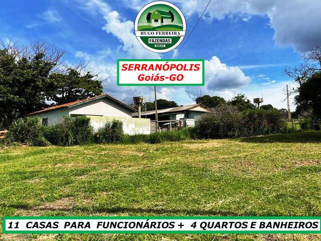 #3233 - Fazenda para Venda em Serranópolis - GO - 2