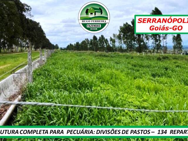 #3233 - Fazenda para Venda em Serranópolis - GO - 3