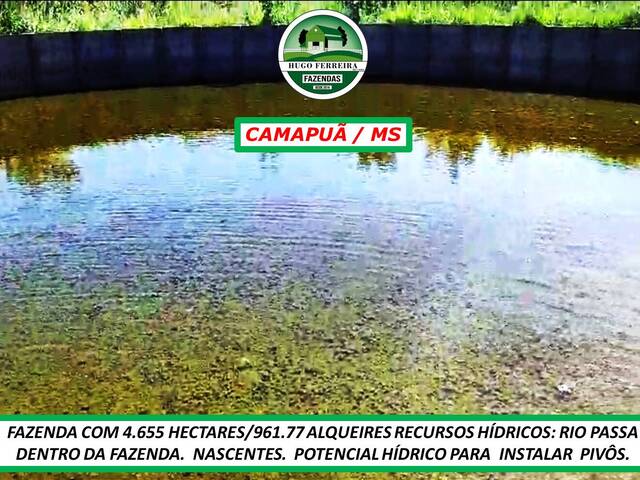 #3244 - Fazenda para Venda em Camapuã - MS