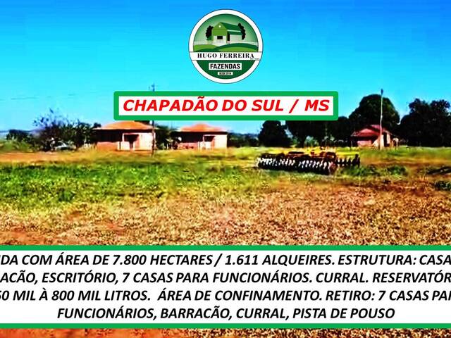 #3255 - Fazenda para Venda em Chapadão do Sul - MS - 2
