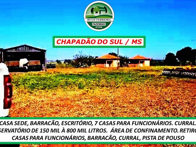 #3255 - Fazenda para Venda em Chapadão do Sul - MS - 3