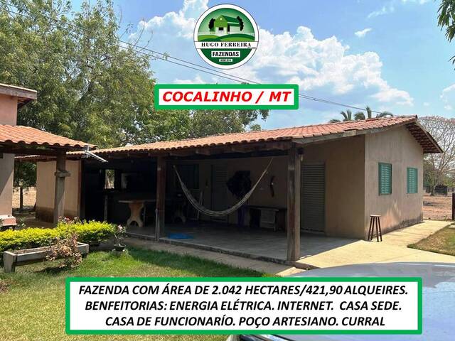 #3303 - Fazenda para Venda em Cocalinho - MT - 3