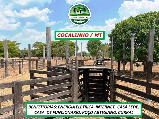 #3303 - Fazenda para Venda em Cocalinho - MT - 2