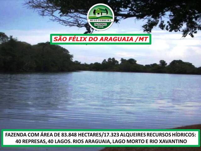 #3333 - Fazenda para Venda em São Félix do Araguaia - MT - 2