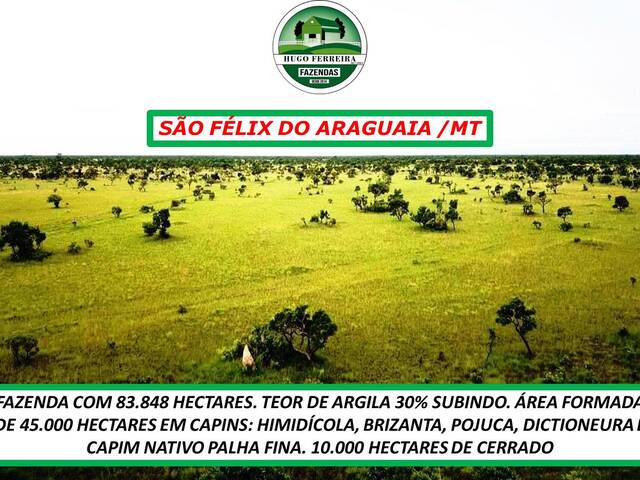 #3333 - Fazenda para Venda em São Félix do Araguaia - MT - 3