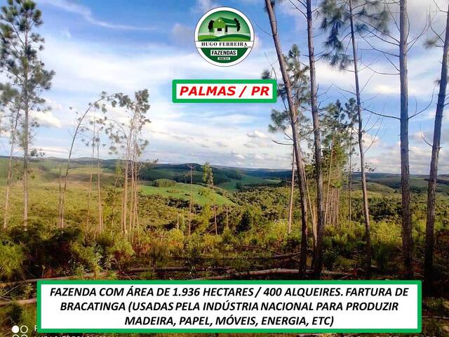 #3366 - Fazenda para Venda em Palmas - PR