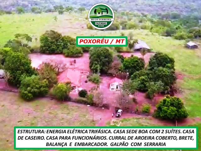 #3377 - Fazenda para Venda em Poxoréo - MT - 3