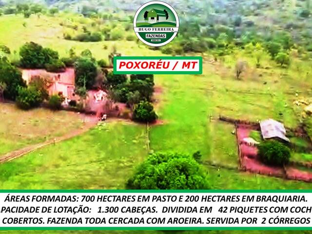 #3377 - Fazenda para Venda em Poxoréo - MT